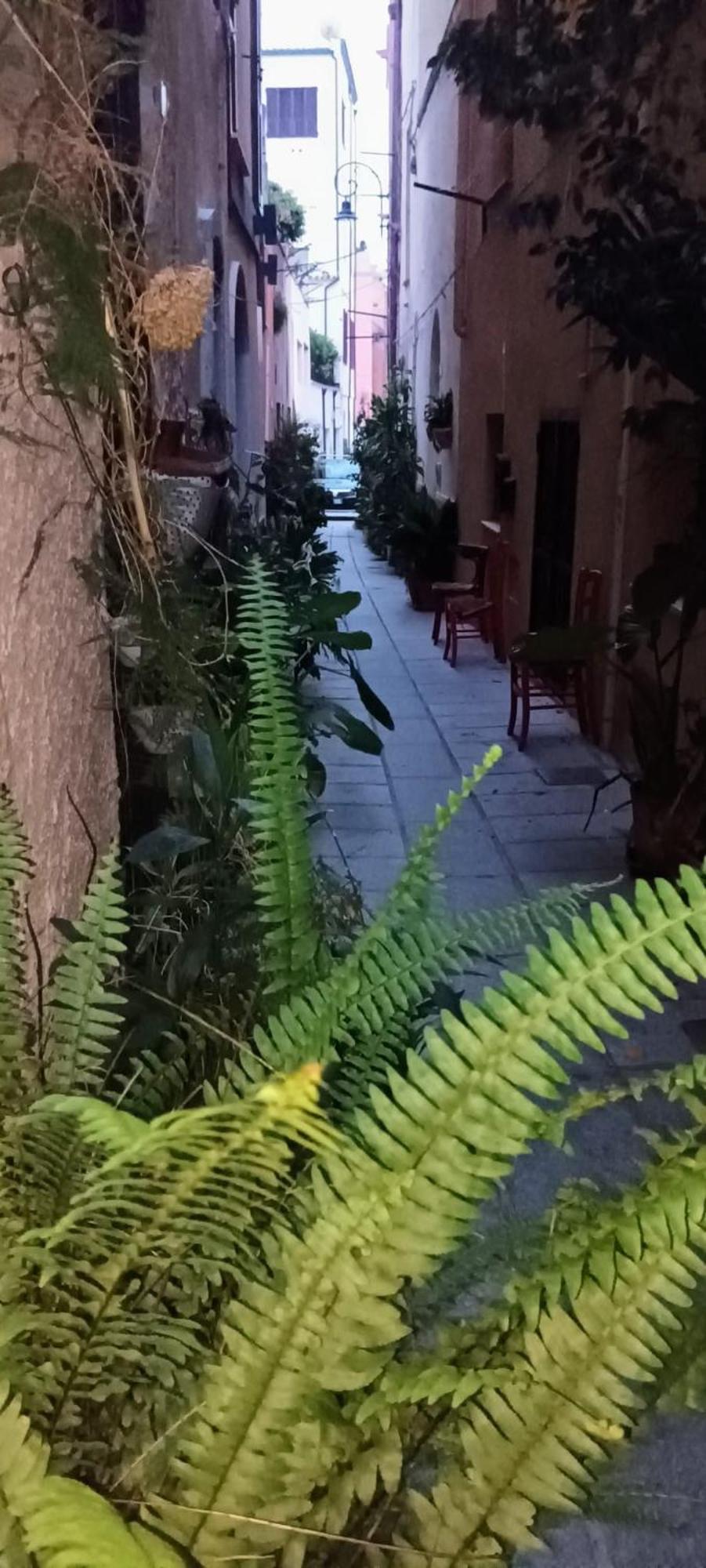 Casa Vacanze Nel Cuore Di Cagliari Kültér fotó
